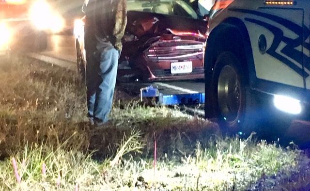 deer crash