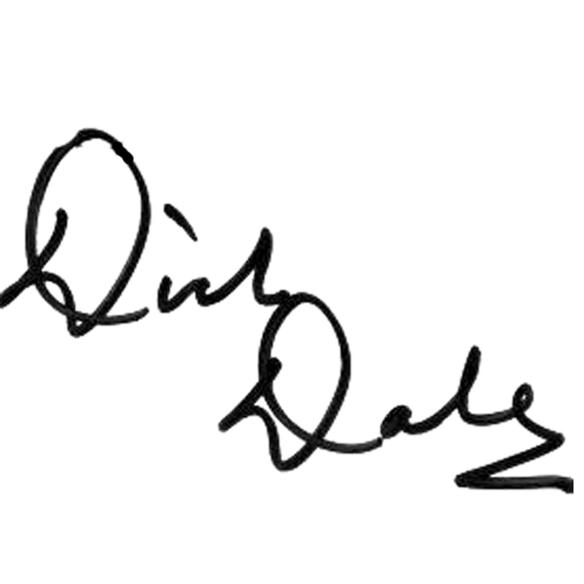 Dick Dale Signature Headstock Waterslide Decal