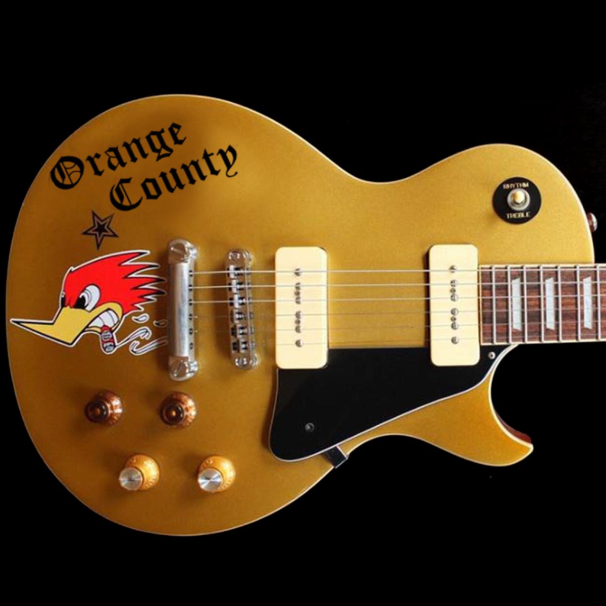 Mike Ness Replica Decals / stickers of his Les Paul Guitar