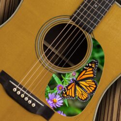 GUITAR MARTIN - Monarch Butterfly- A-164 copy