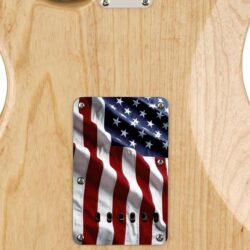 101 - USA American Flag custom printed tremolo cover on guitar
