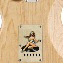 119 - vintage pinup girl on record custom printed tremolo cover on guitar