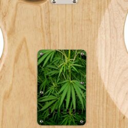 122 - weed pot custom printed tremolo cover on guitar