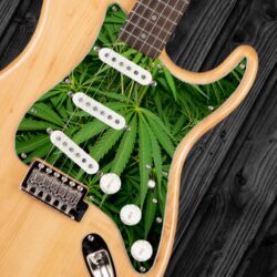 124- Stratocaster - WEED POT custom printed pickguard on guitar