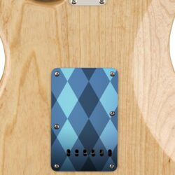 183 -blue plaid custom printed tremolo cover on guitar