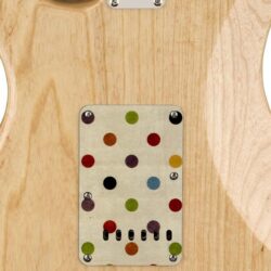192 - vintage polka dots custom printed tremolo cover on guitar