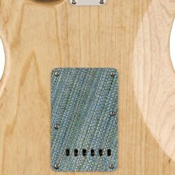 195 - colorful tweed custom printed tremolo cover on guitar