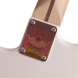Hendrix Filmore East guitar neckplate on Stratocaster