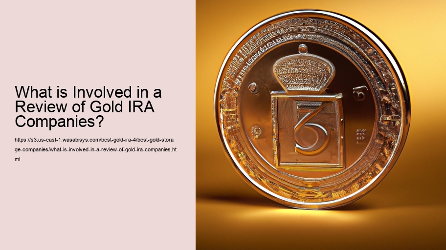 What is Involved in a Review of Gold IRA Companies? 