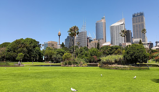 Sydney's Diversity on the Rise: Nearly Half of City’s Population Born Overseas