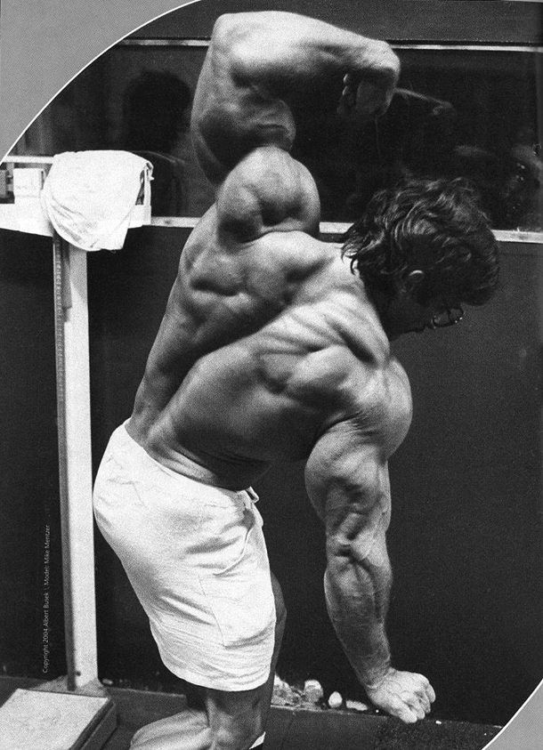 mike mentzer arnold