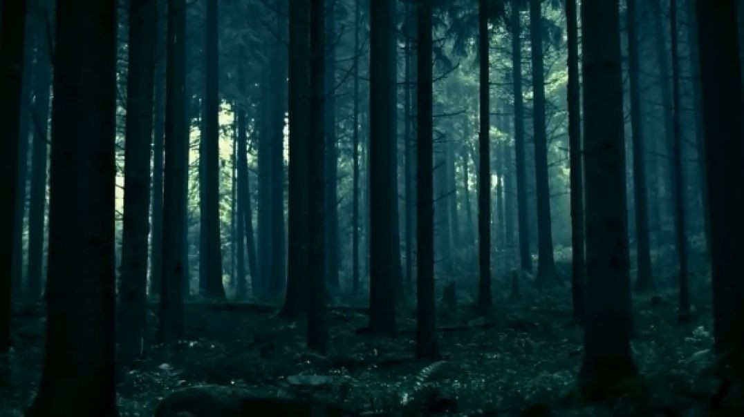 Nature Beautiful short video 720p HD-2