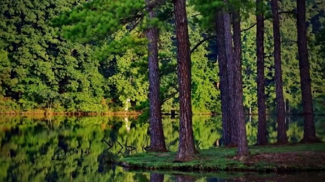 Nature Beautiful short video 720p HD Teat 1