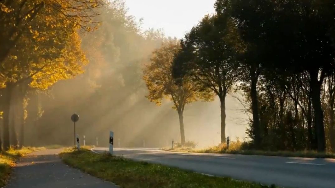 Nature Beautiful short video 720p HD-3