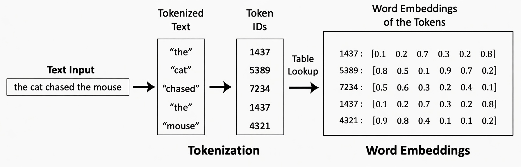 Tokenization & Embeddings