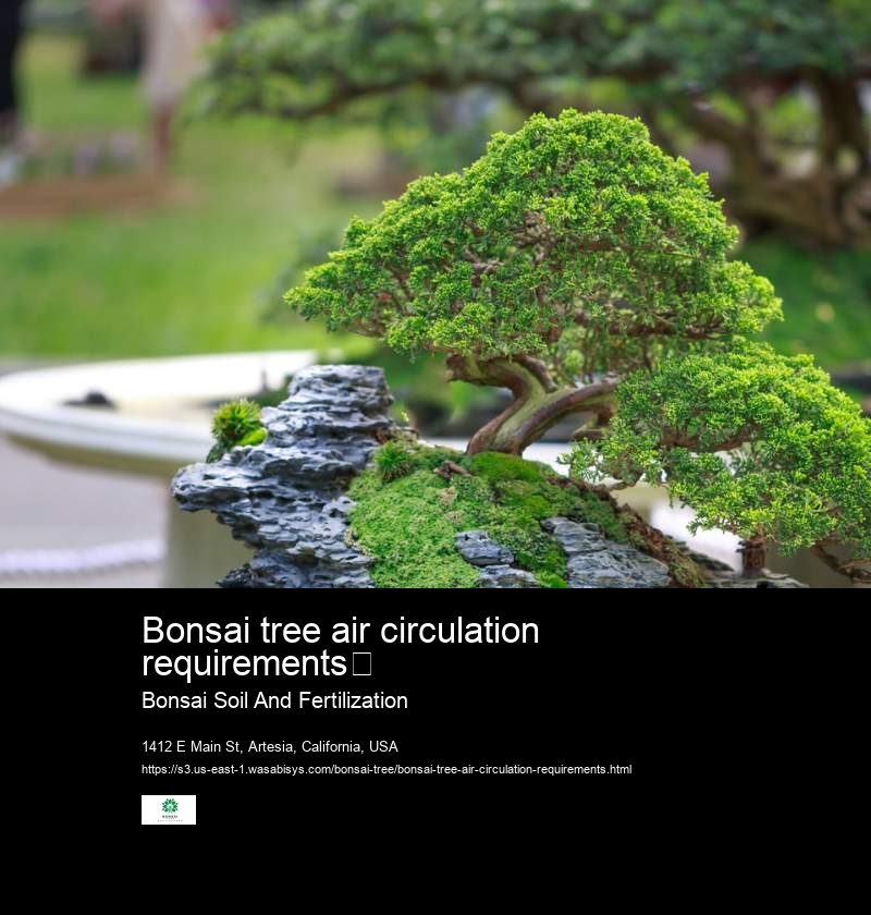 Bonsai tree air circulation requirements	