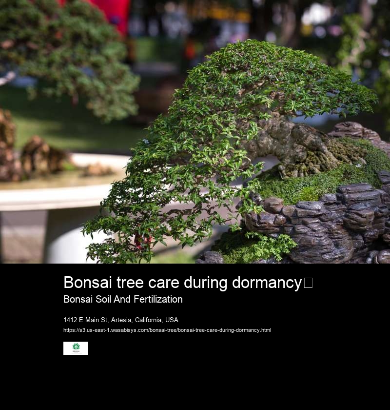 Bonsai tree care during dormancy	