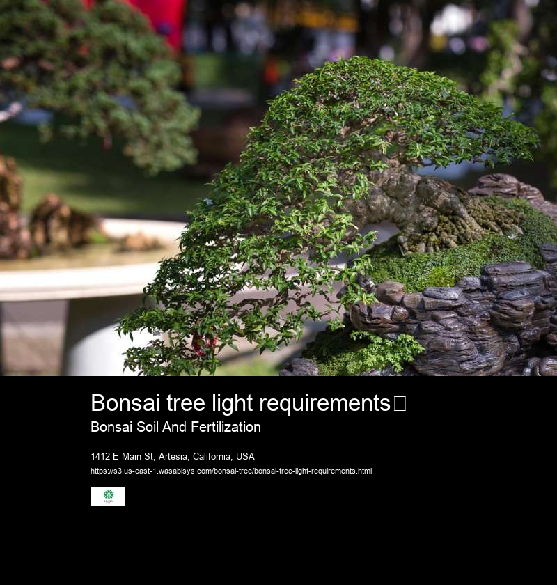 Bonsai tree light requirements	