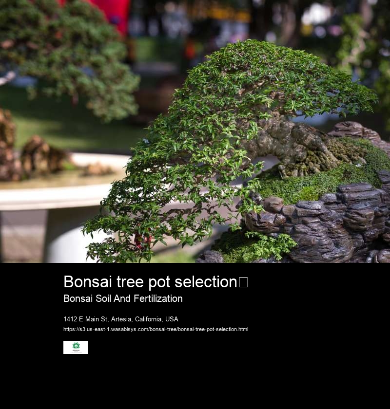 Bonsai tree pot selection	