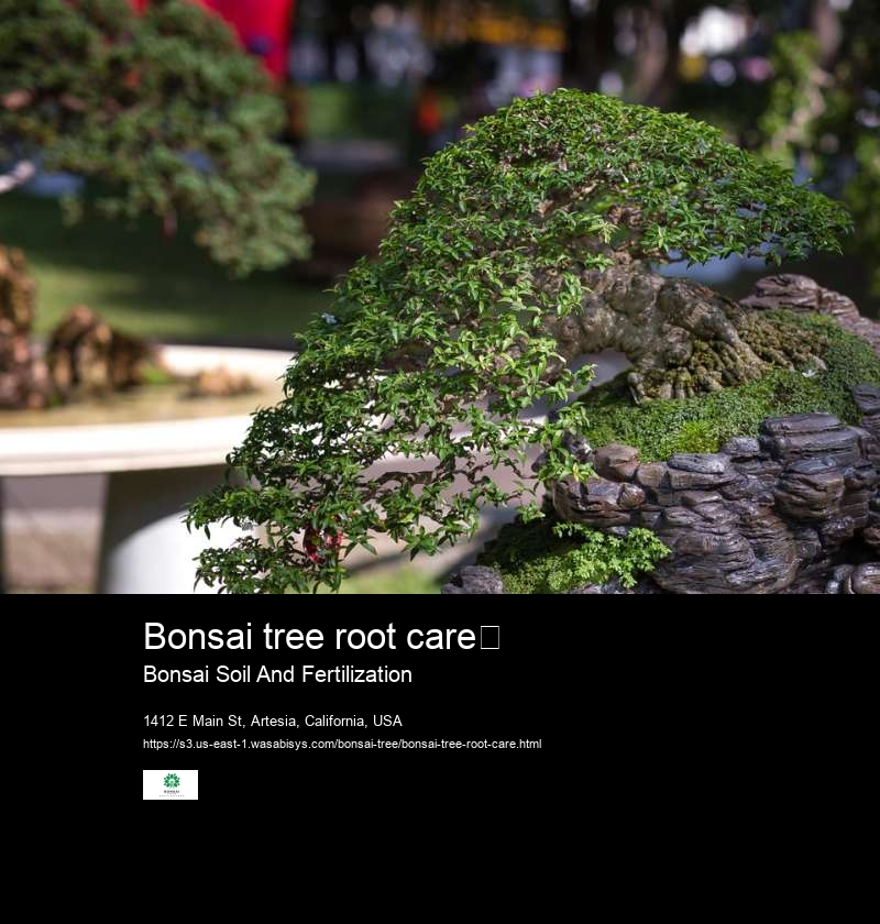 Bonsai tree root care	