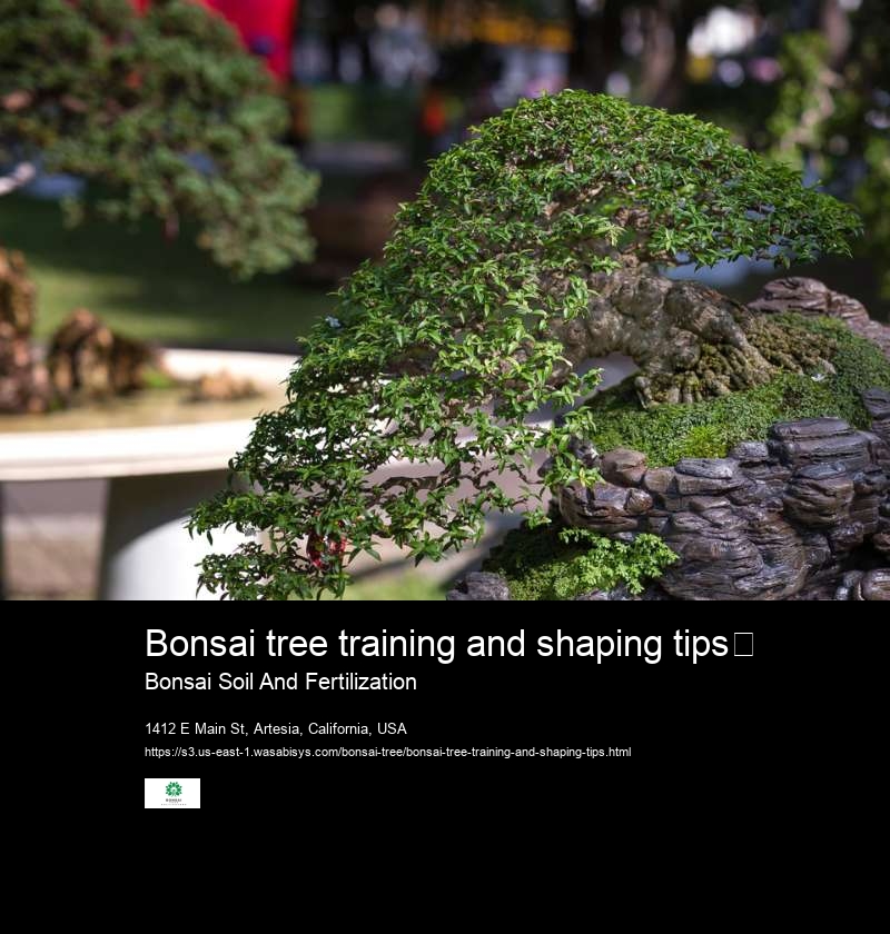 Bonsai tree training and shaping tips	