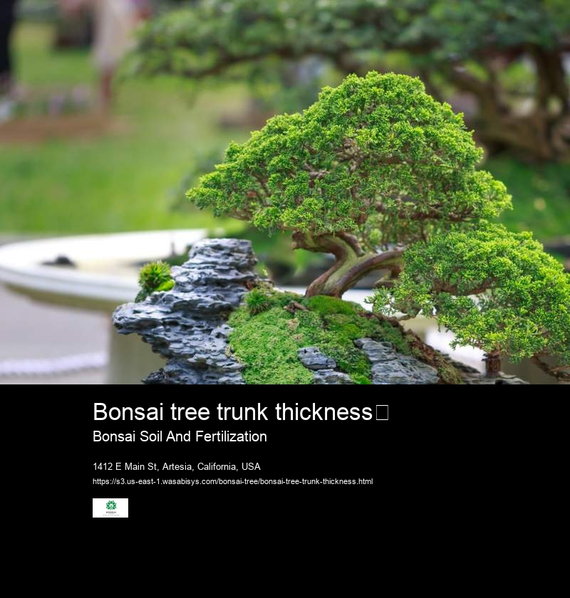 Bonsai tree trunk thickness	