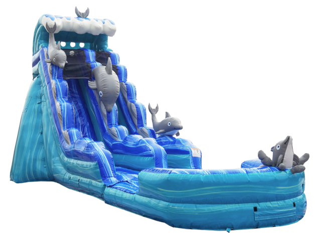 Birthday party water slide rental in Lutz FL