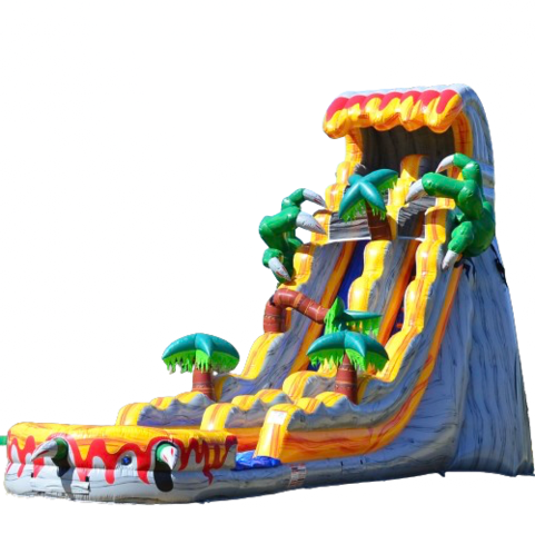 Themed water slide rental Lutz FL