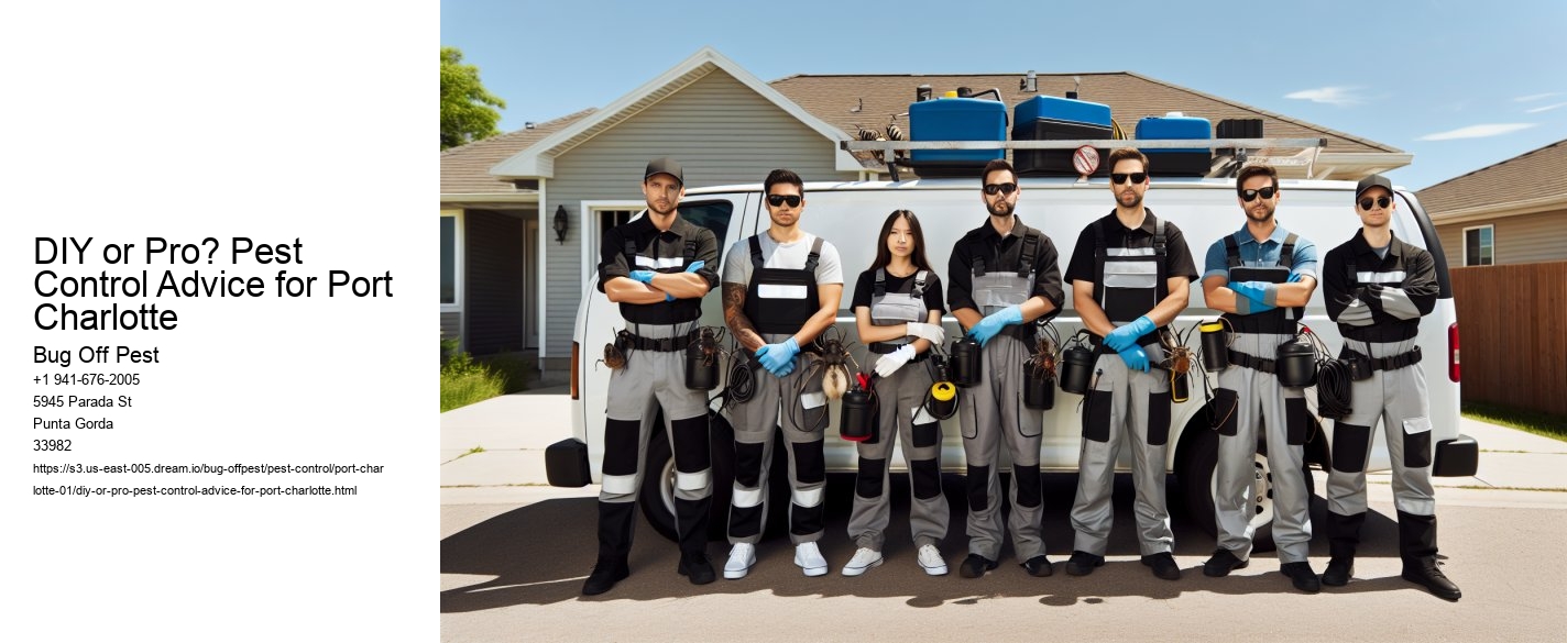 DIY or Pro? Pest Control Advice for Port Charlotte