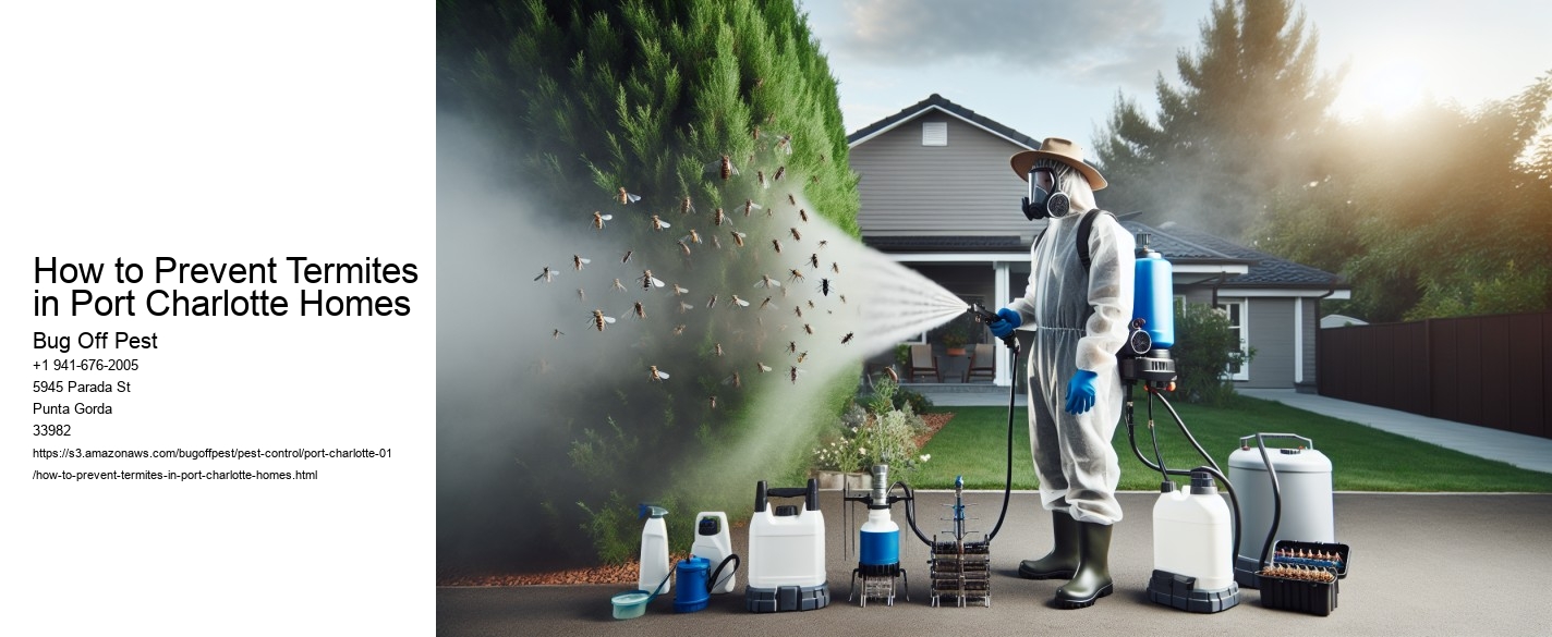 How to Prevent Termites in Port Charlotte Homes