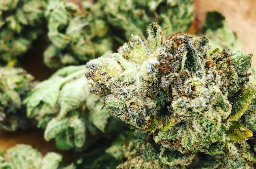 Buy Recreational Marijuana Denver