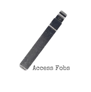 Keyless entry system