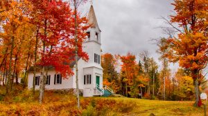 studentlife_colorsofnh_nov-3-2016_photocredit-jefffolger