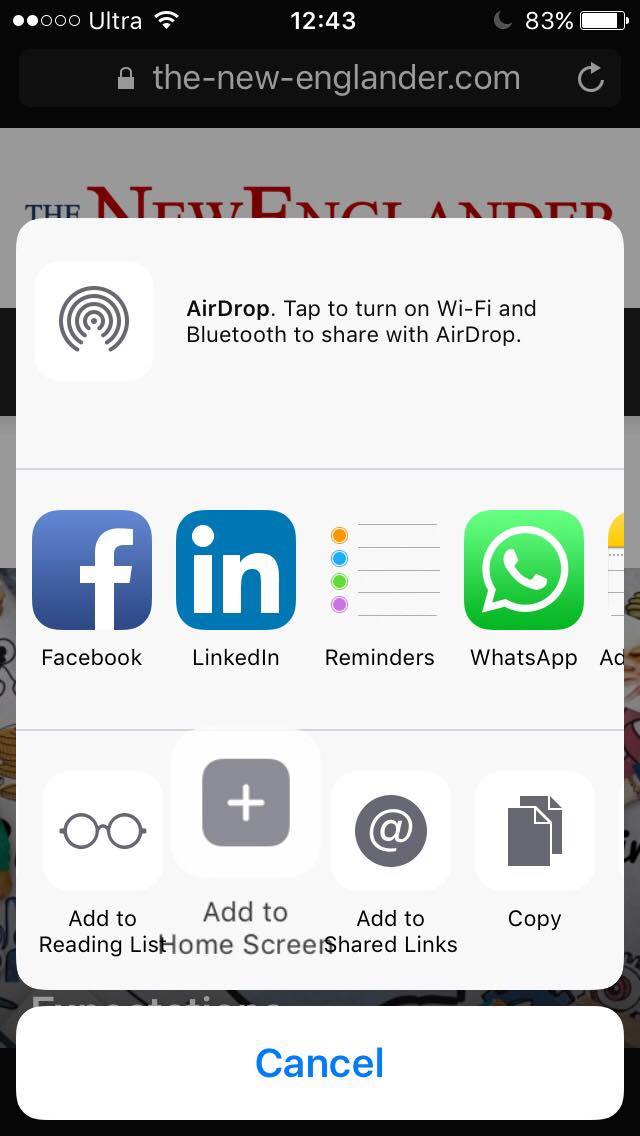 2. click little share icon in the center and click Add to homescreen