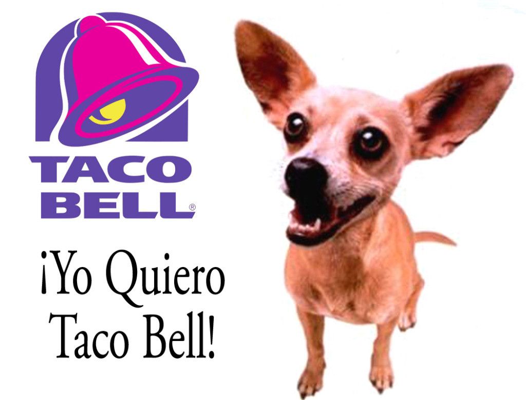 Image result for taco bell chihuahua