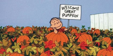 Image result for the great pumpkin