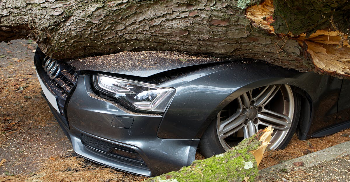 budget-friendly vehicle protection