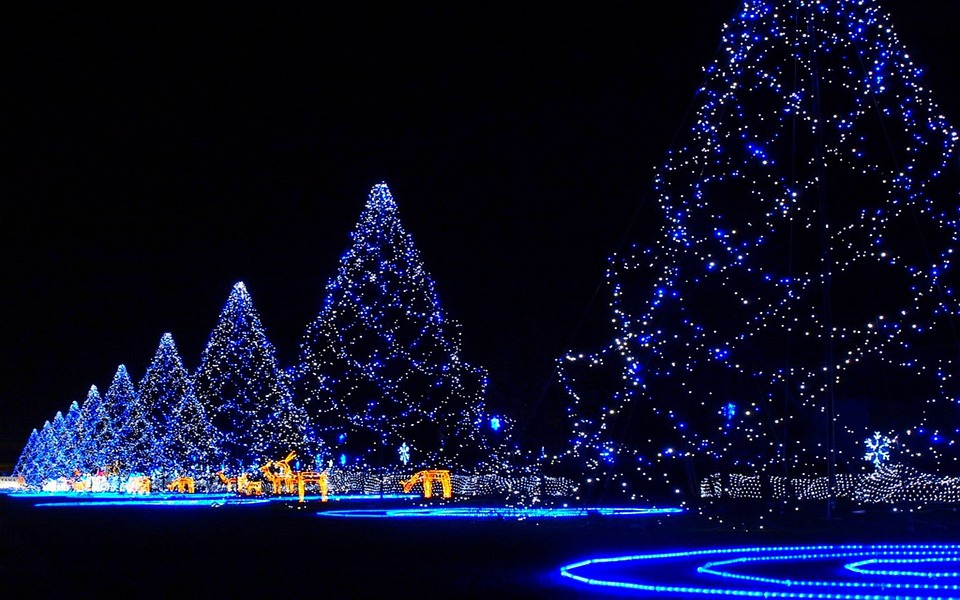 How Much Does It Cost To Hire A Holiday Light Installation in St. Joseph MO