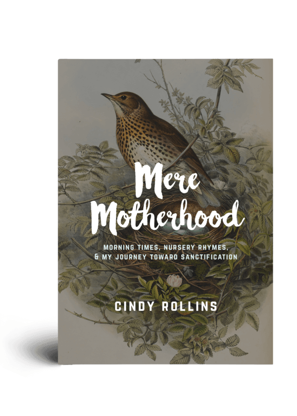 Mere Motherhood Book Cover