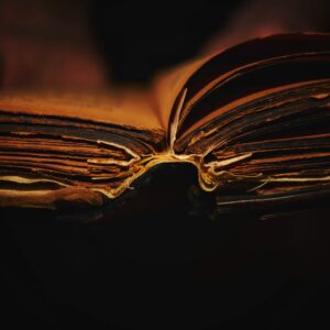 Why Schools Must Have a Latin Reading Program