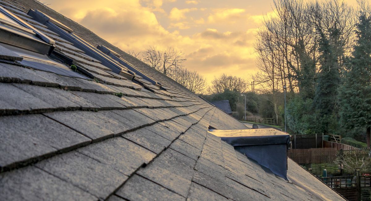   roofing claim management         