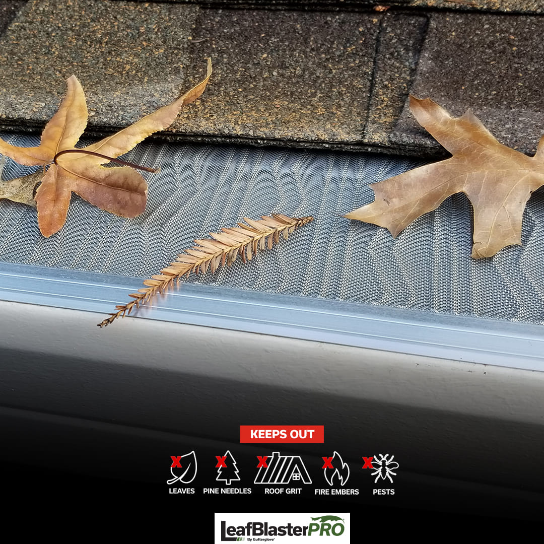 Asphalt Roof Replacement Sioux Falls SD