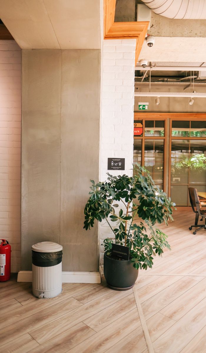 What role does cleanliness play in workplace productivity?