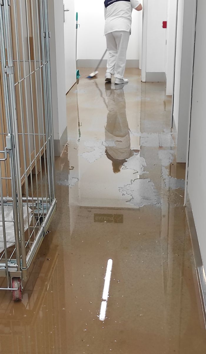 What are the most common duties performed by commercial cleaners?