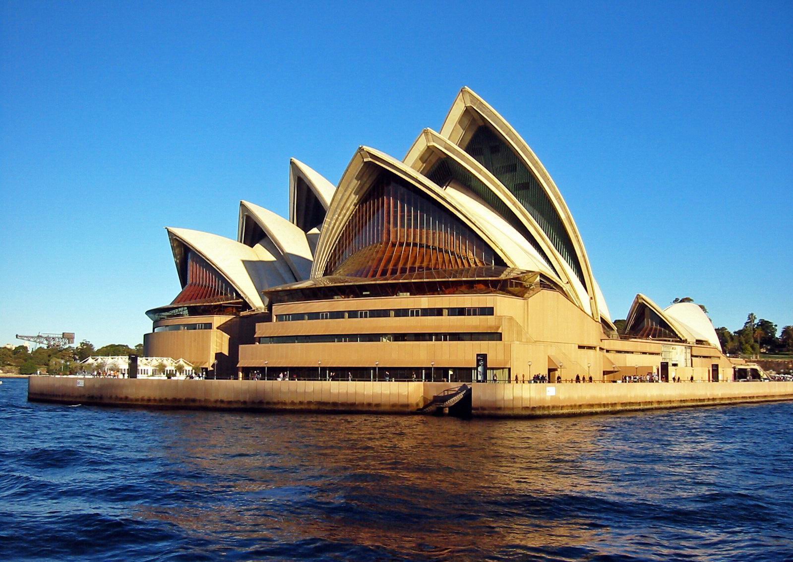 Ecology of Sydney: A Rich Biodiversity in a Coastal Urban Landscape