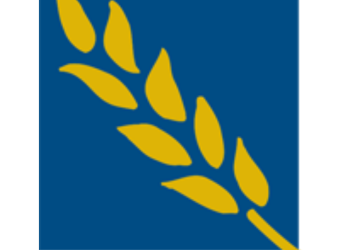 BSS