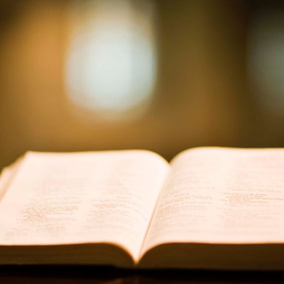 bible