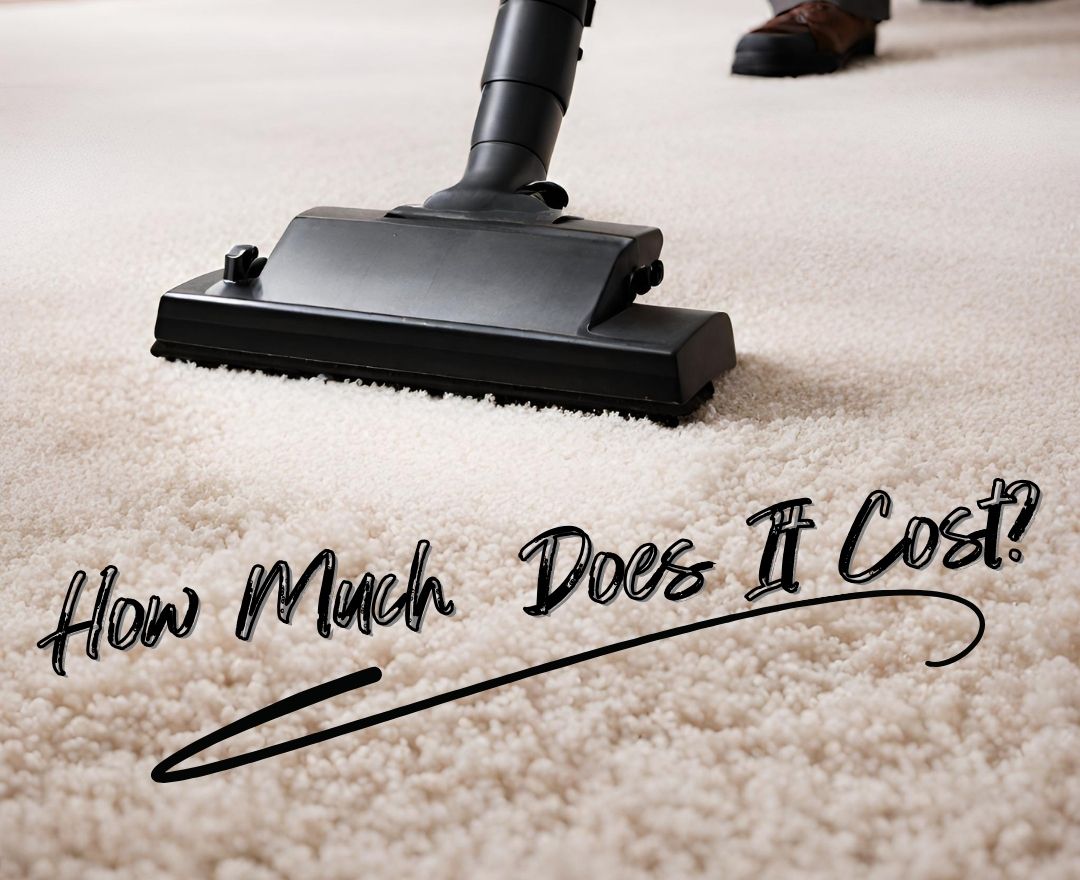 How Much Does it Cost to Clean Carpet in Sydney