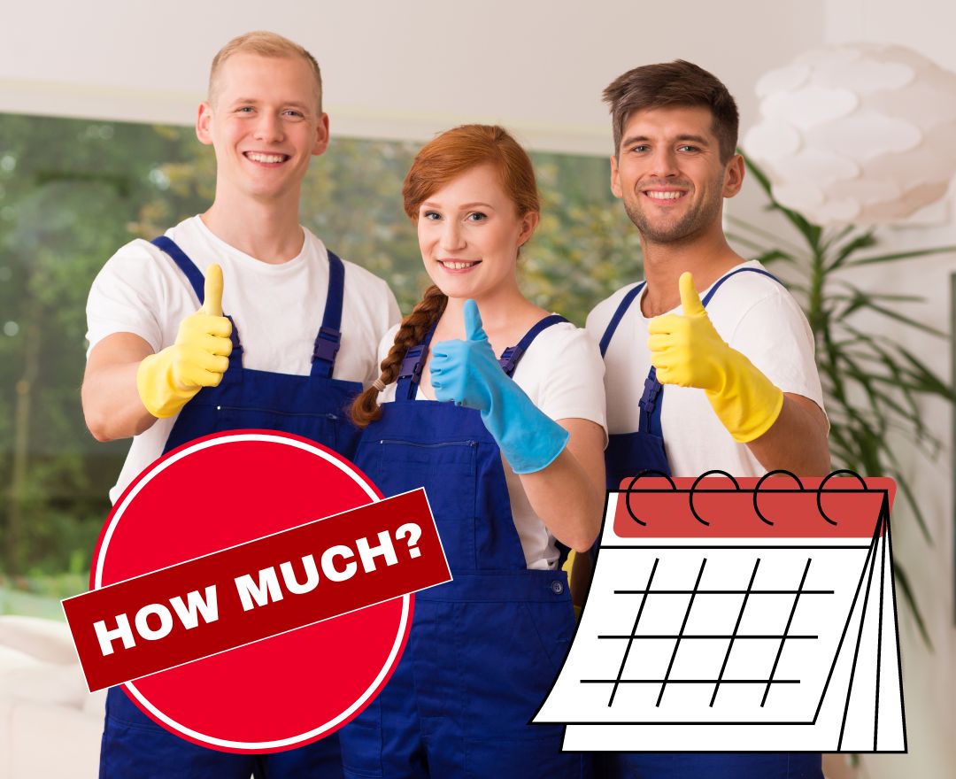 How Much is a Cleaner Once a Fortnight?