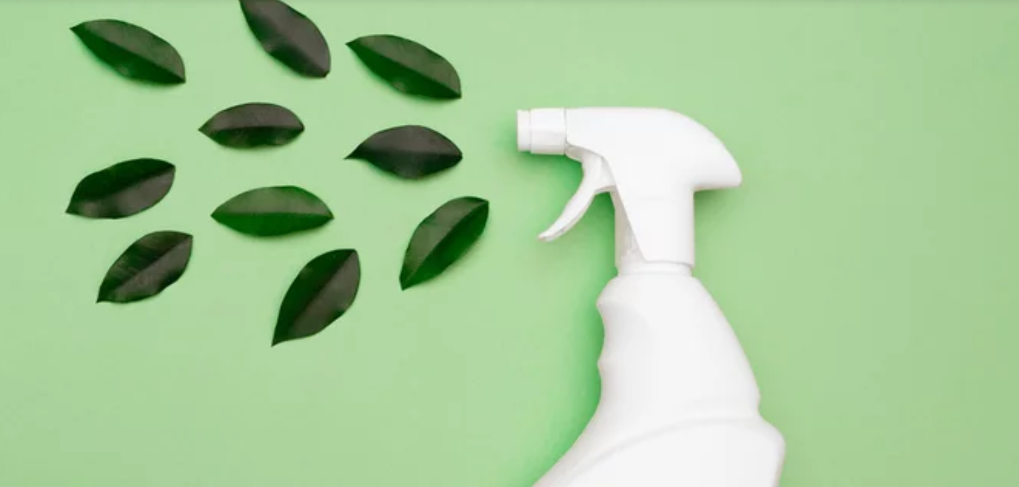The 10 Best Eco-Friendly Cleaning Products for a Sparkling Home